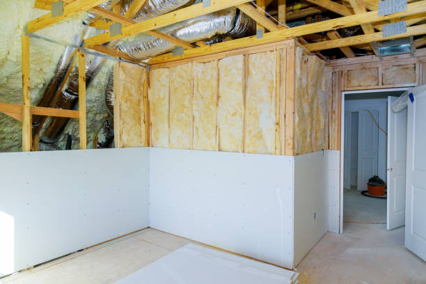 Best Attic Insulation Installation  in Bridgeport, IL