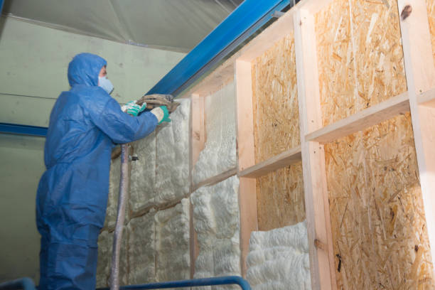 Best Energy-efficient Insulation  in Bridgeport, IL