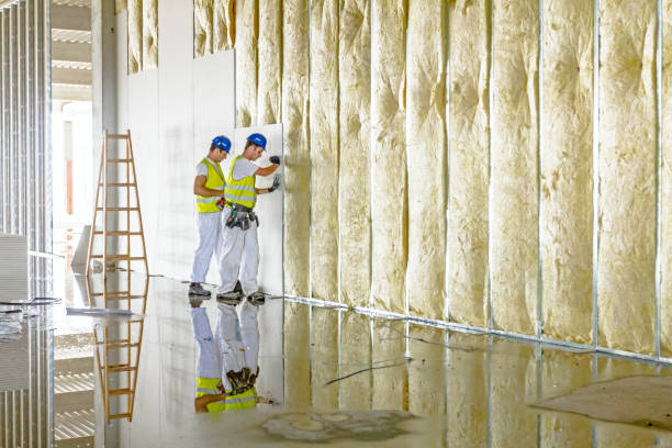 Garage Insulation Installation in Bridgeport, IL